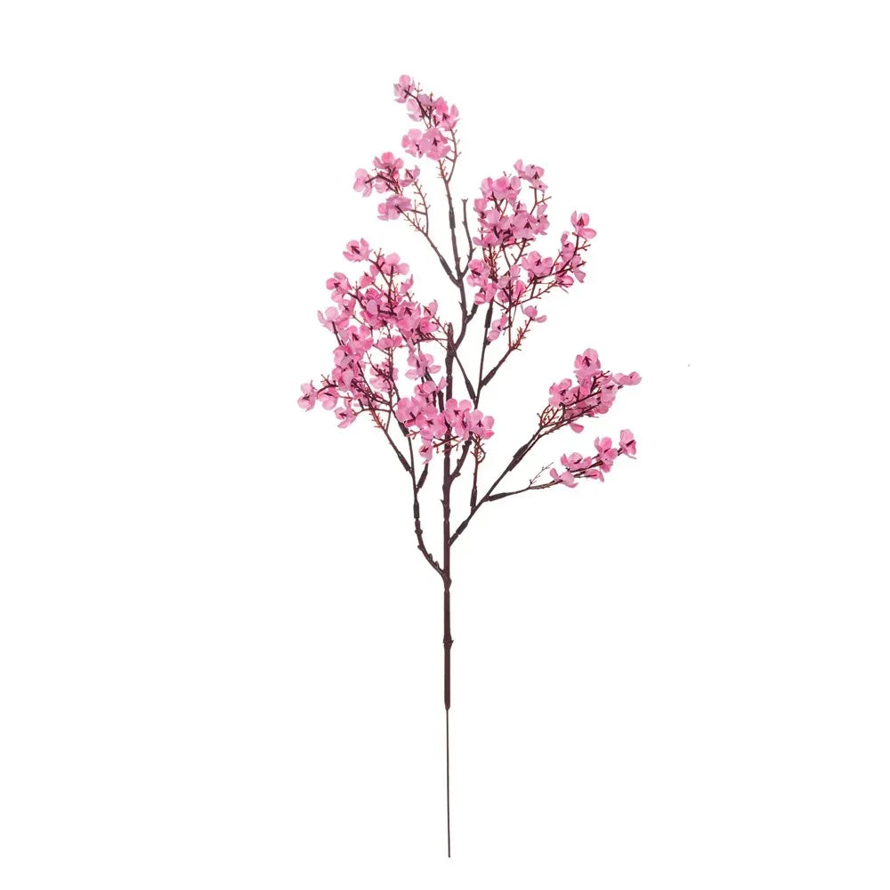 Cherry Blossoms Flowers